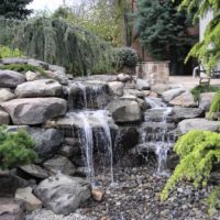 122 Pondless Waterfall and Evergreen Plantings