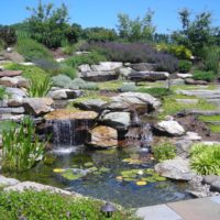 123 Fish Pond and Waterfall Built Into Hillside