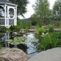 125 Nature-Inspired Fish Pond with Boulders