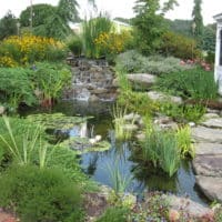 Waterfall and Fish Pond
