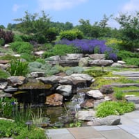 Stone Walls and Landscape Design in Frederick, MD