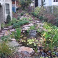 Side Yard Slope Transformed with Stream and Fish Pond
