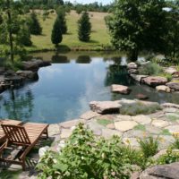 115 Nature-Inspired Pool with Vanishing Edge