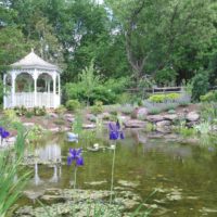 126 Nature-Inspired Fish Pond with Boulders