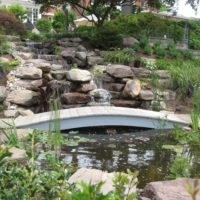 132 Waterfall, Fish Pond and Wooden Bridge