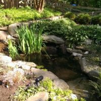 298 Cascading Fish Pond