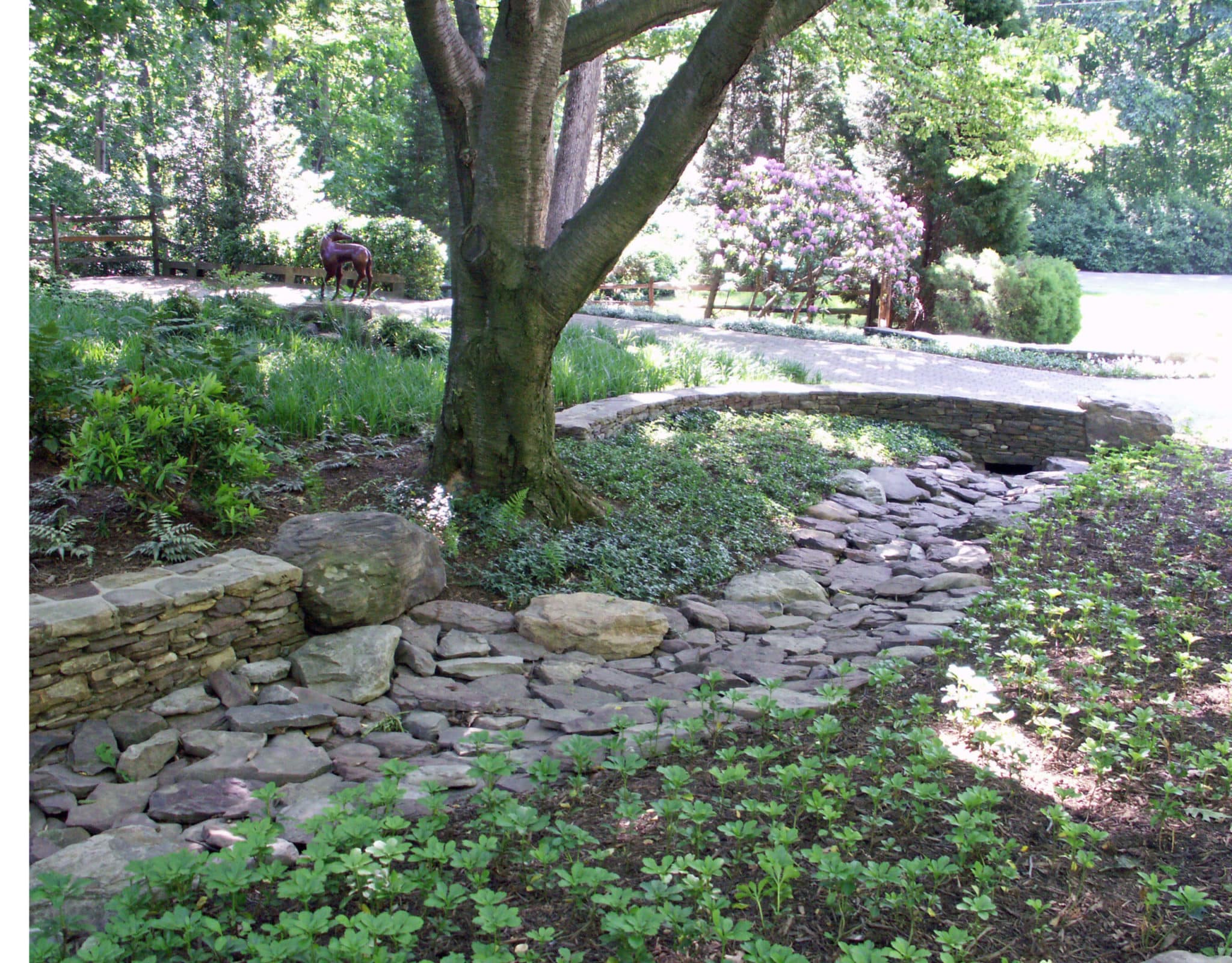 445 Stone Dry Stream and Culvert Walls