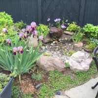 560 Pondless Water Bubbler