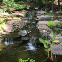 561 Waterfall with Fish Pond