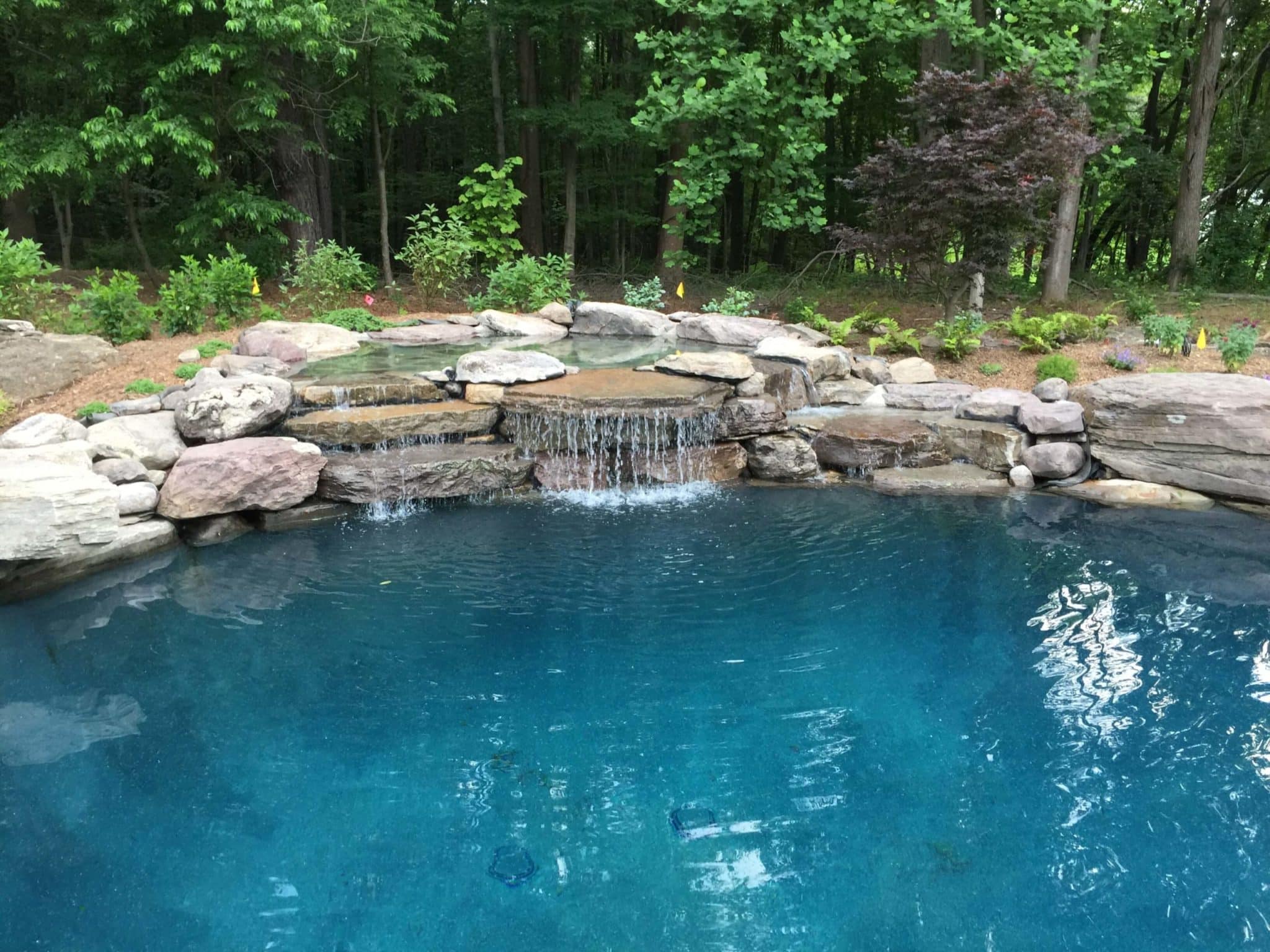 604 Residential Pool with PA Boulder Waterfall and Naturalized Edge