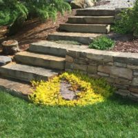 651 Rustic Stone Steppers and Stone Retaining Wall