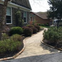 735 Stone Edging Along Walkway