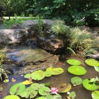 Bubbler Rock and Fish Pond