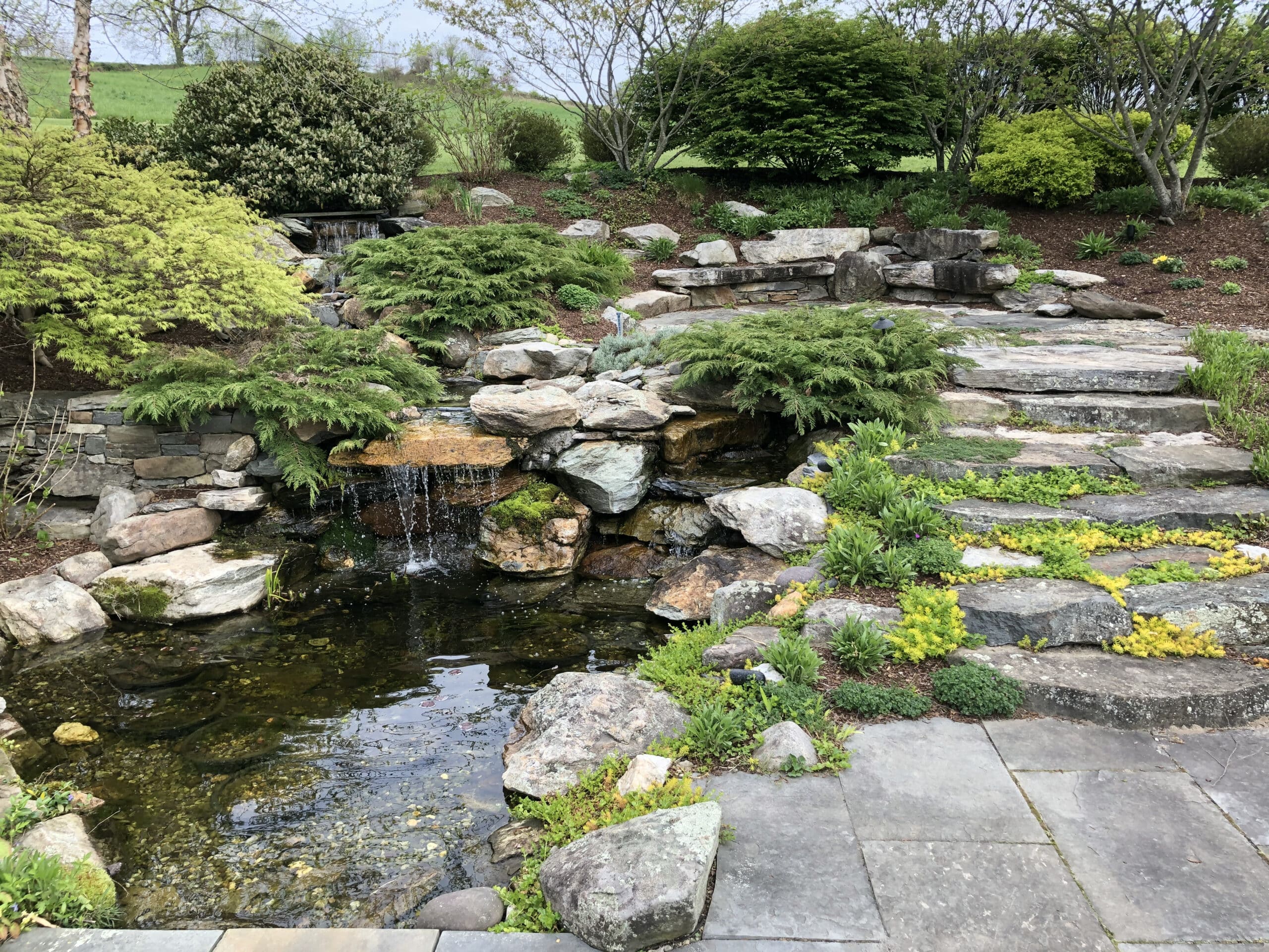 Hillside Water Feature