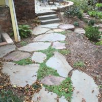 Informal Irregular Flagstone Path