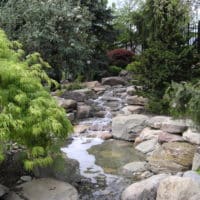 Graceful Waterfall with Pooling Ponds