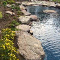 Pool with Boulder Edge