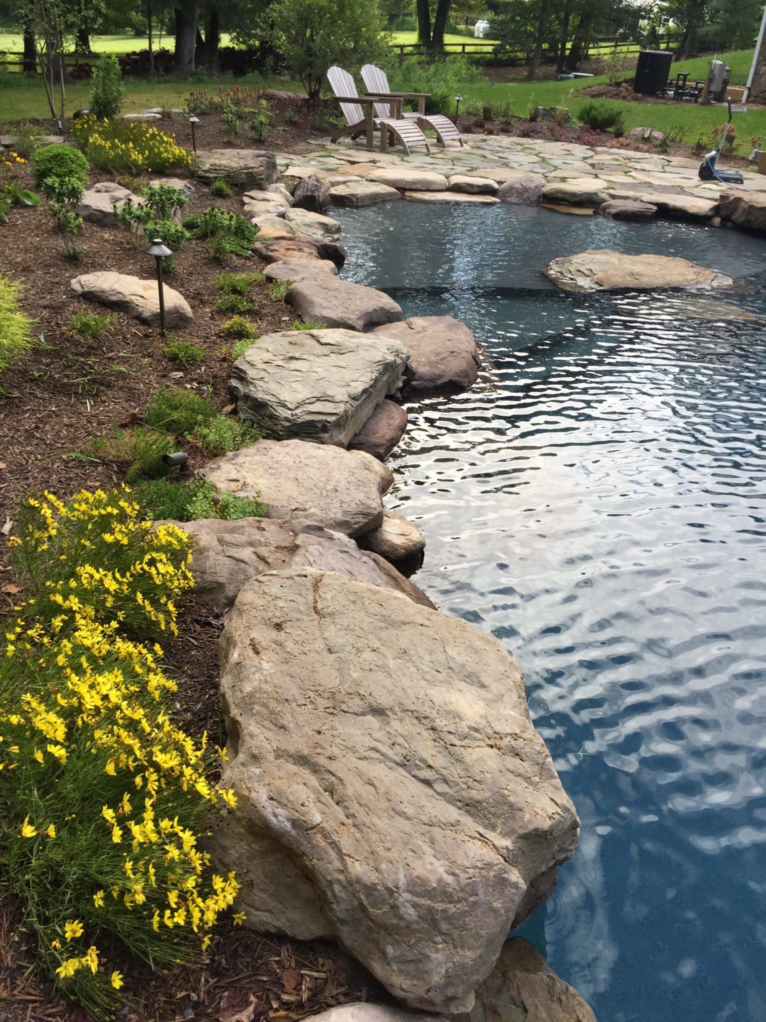 Pool with Boulder Edge