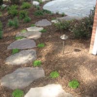 Stone Steppers Through Garden